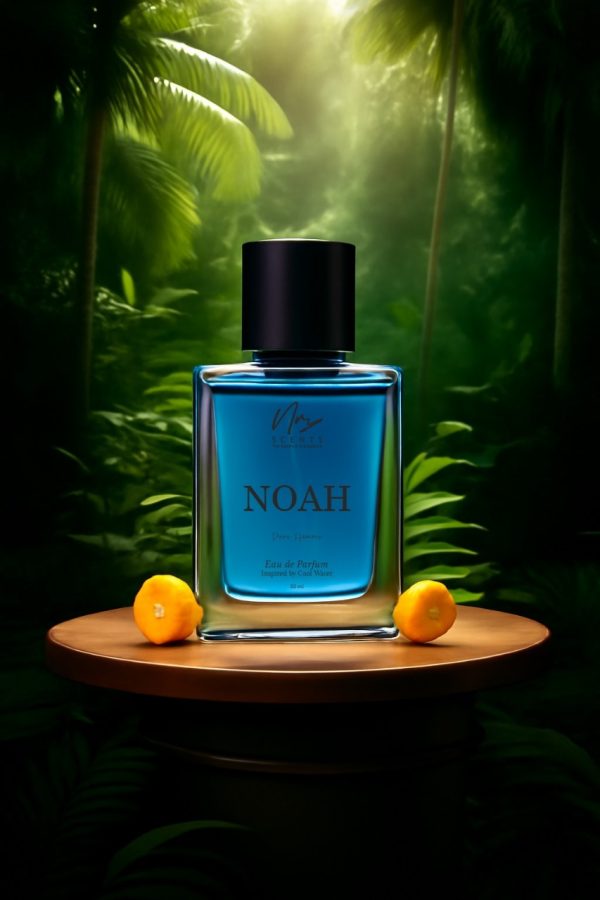 NOAH - Image 4